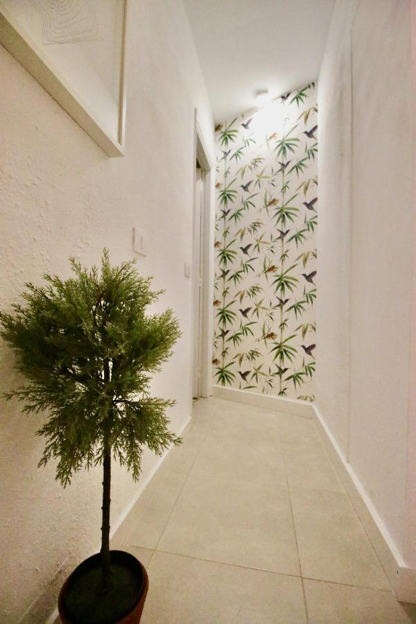 Sweet Home Apartaments Ель-Медано Екстер'єр фото